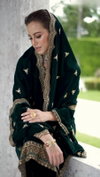 LG 1199 Heavy Viscose Velvet Embroidery Readymade Suits